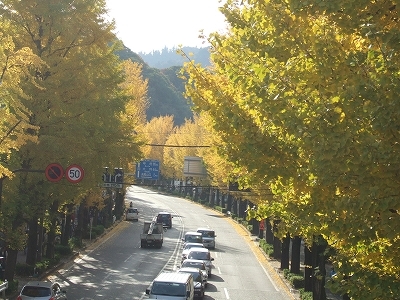 京王プラザホテル八王子 - 写真 114