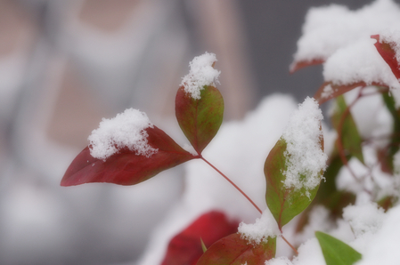 京王プラザホテル八王子 - 写真 123