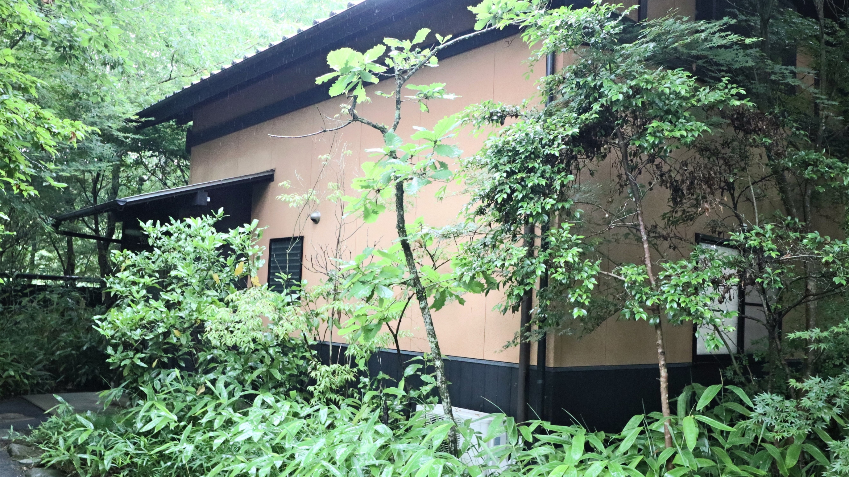 麻生釣温泉 亀山の湯 宿 写真 動画 楽天トラベル 麻生釣温泉 亀山の湯 宿 写真 動画 楽天トラベル