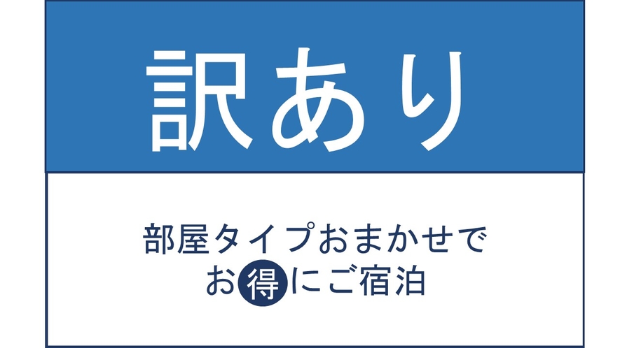 訳ありプラン