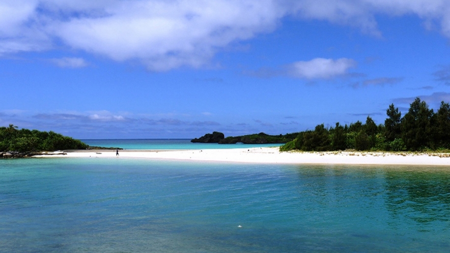 【周辺】沖縄で最も美しい海のひとつといわれる海でダイビングやシュノーケリングはいかがですか？