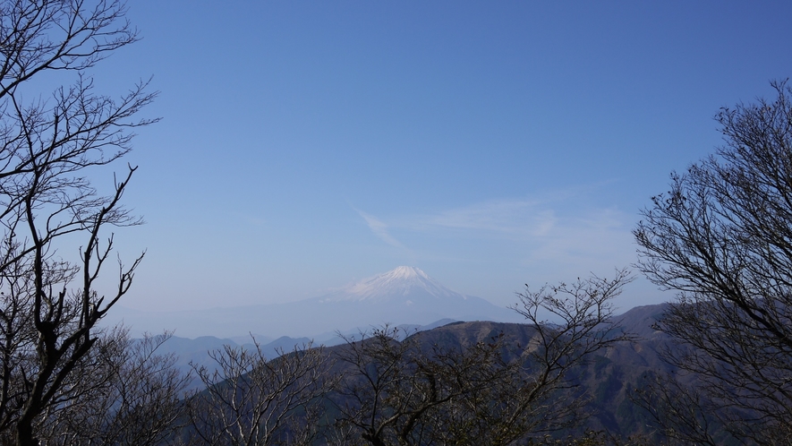 *［大山山頂］関八州の展望台と言われる山頂は、相模湾、富士山、都心の高層ビル群などを望めます。