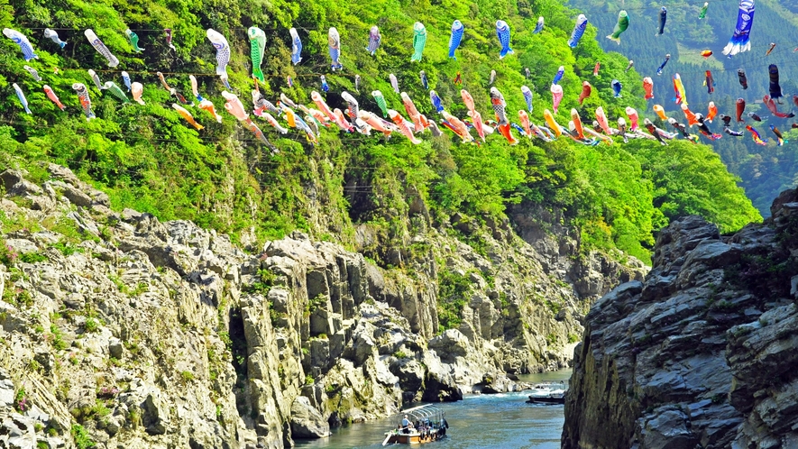 *【周辺観光】大歩危（車で約25分）：3月下旬～5月末に各地から寄贈された鯉のぼりが吉野川を泳ぎます