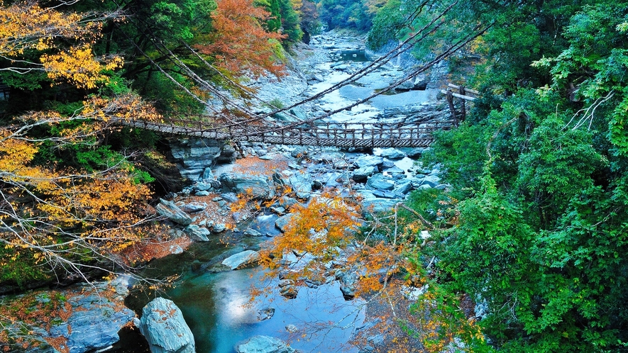 *【周辺観光】祖谷のかずら橋/秋（車で約47分）：日本三奇橋のひとつ。