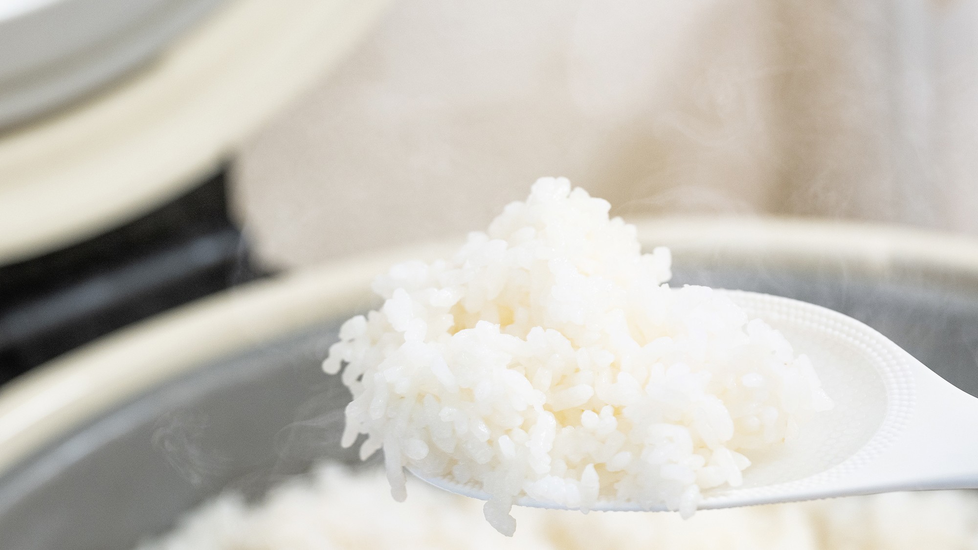 【朝食】国産米