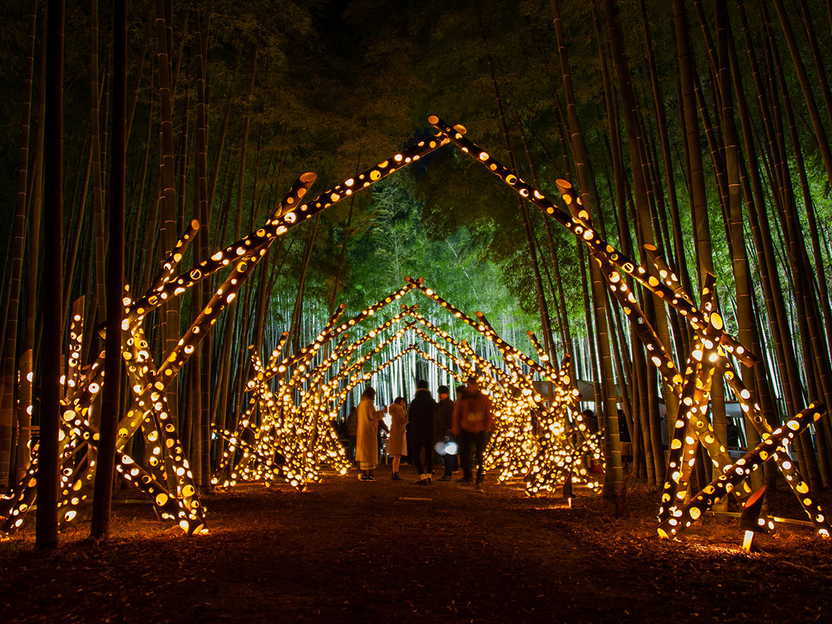 若竹の杜　若山農場「Bamboo Winter Lights」