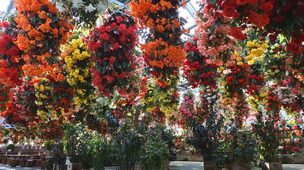 鬼怒川温泉ホテル 写真 動画 楽天トラベル 鬼怒川温泉ホテル 写真 動画 楽天トラベル