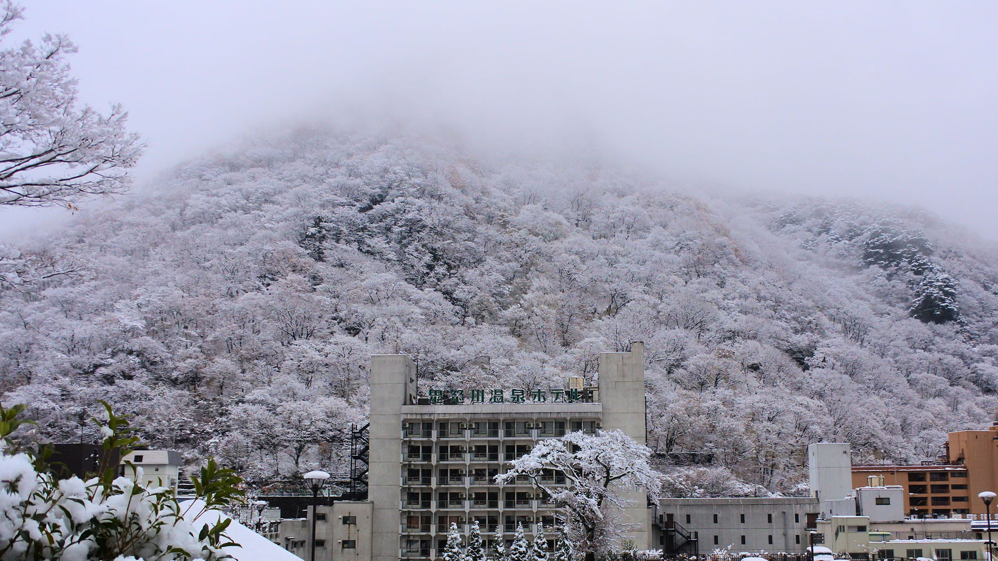 ■雪景色