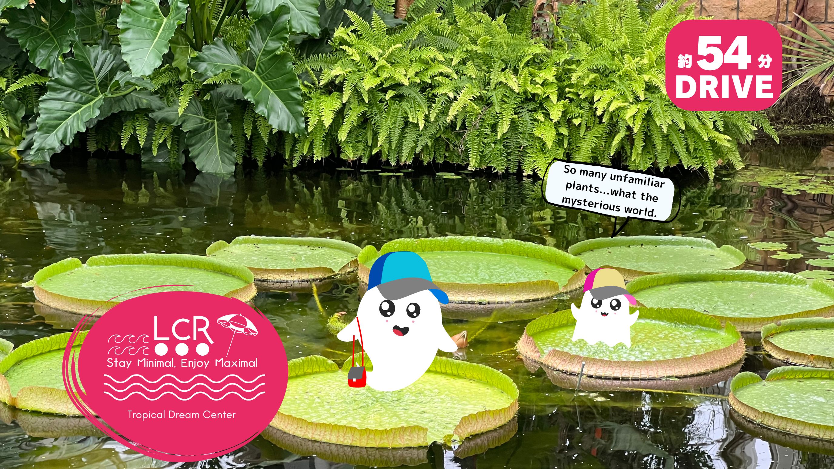 観光スポットへのアクセス◎