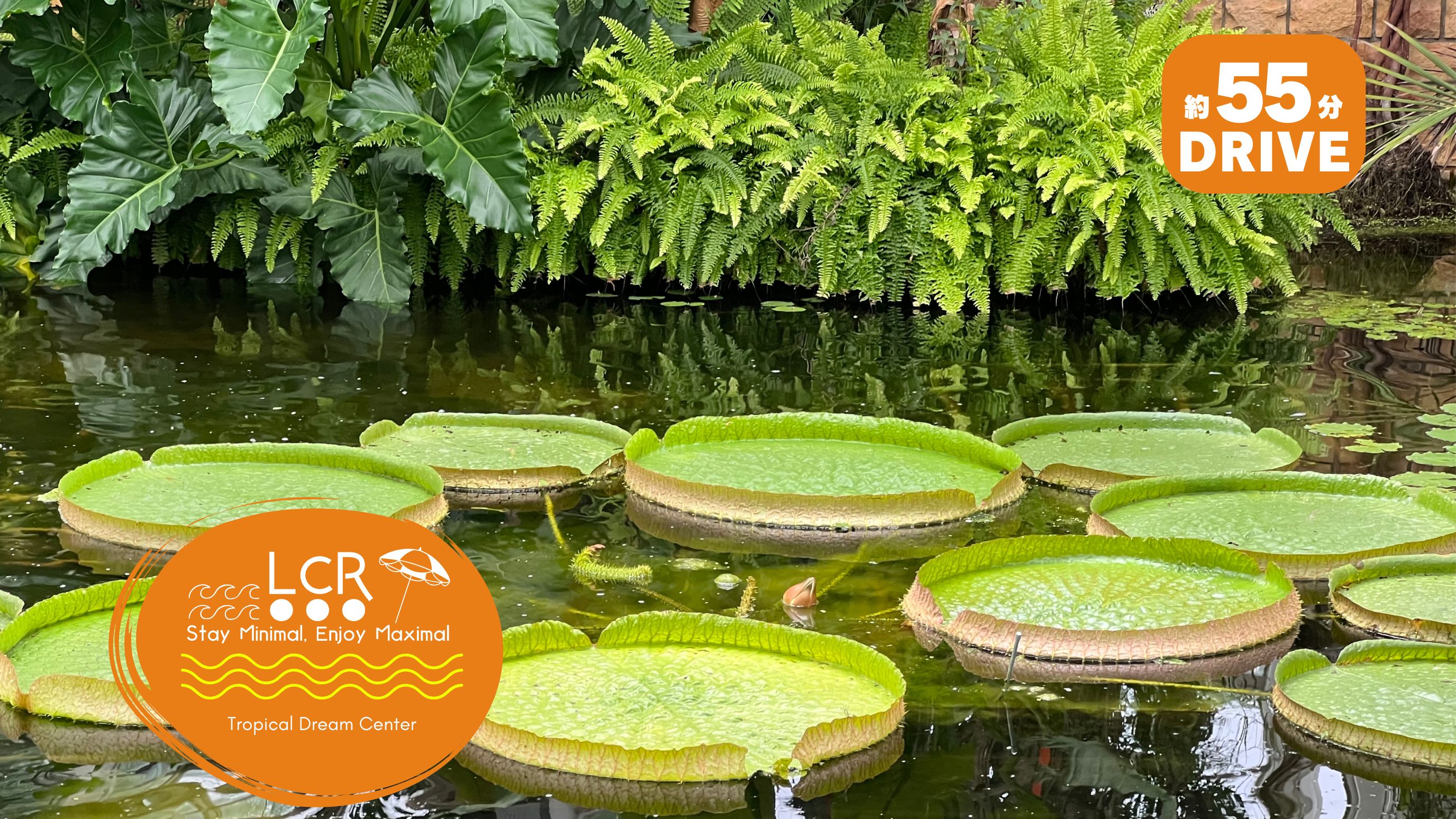 熱帯ドリームセンター