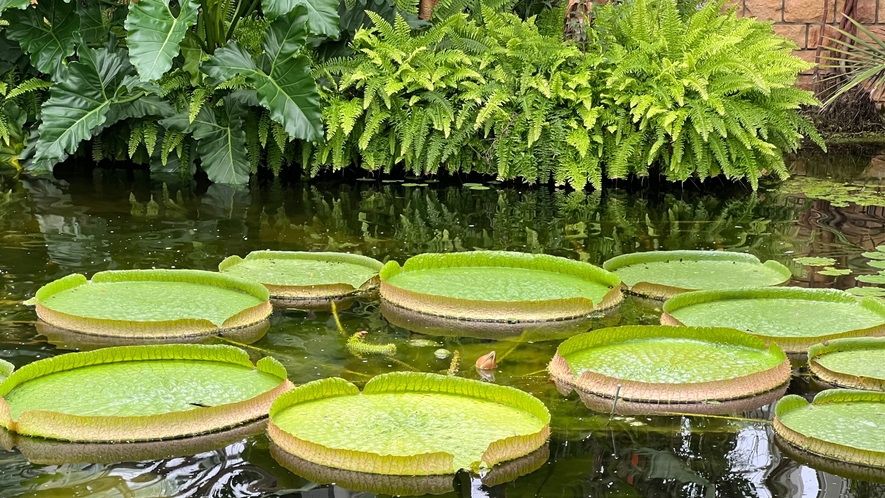 東南植物楽園