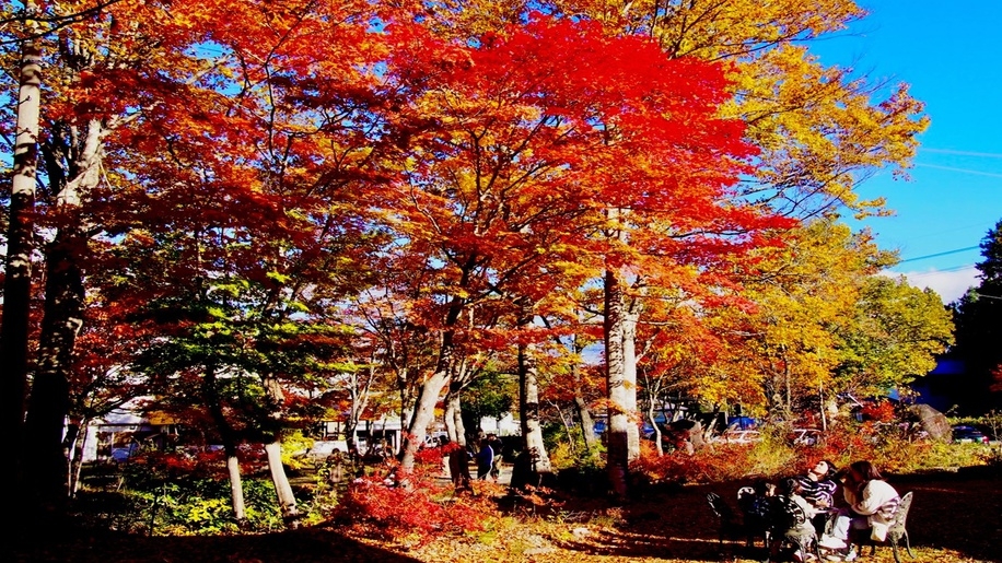 ＊事前決済のみ＊＜10/10・11、11/21・22のご予約はコチラ＞無料軽朝食付・貸し切りコテージ