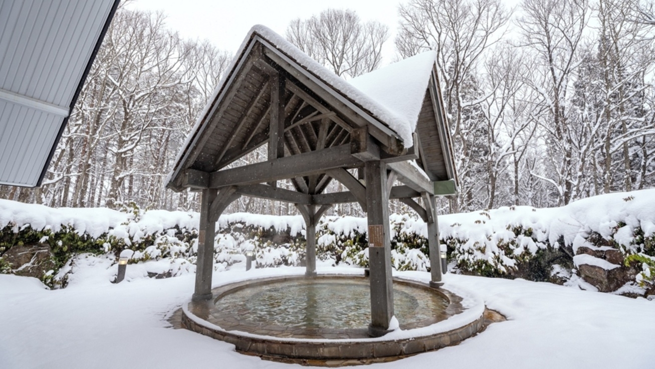 ＊事前決済のみ＊＜年末年始・スキーシーズンの連休週末＞ゆったり本館宿泊・無料軽朝食付！自分ペースの旅