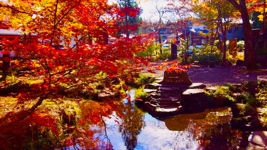 【分水嶺公園】1年で最も美しい紅葉シーズン