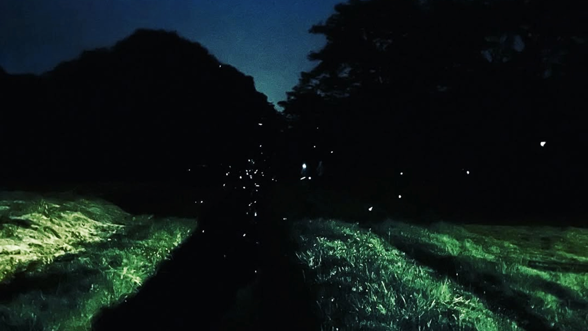 *ひるがの高原某所