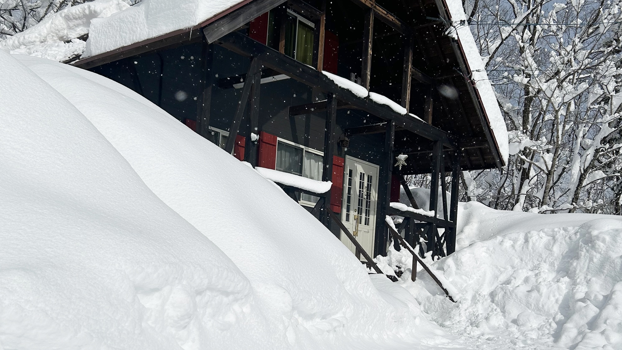 ＊ *【一棟貸しサウナ付きコテージ/外観】