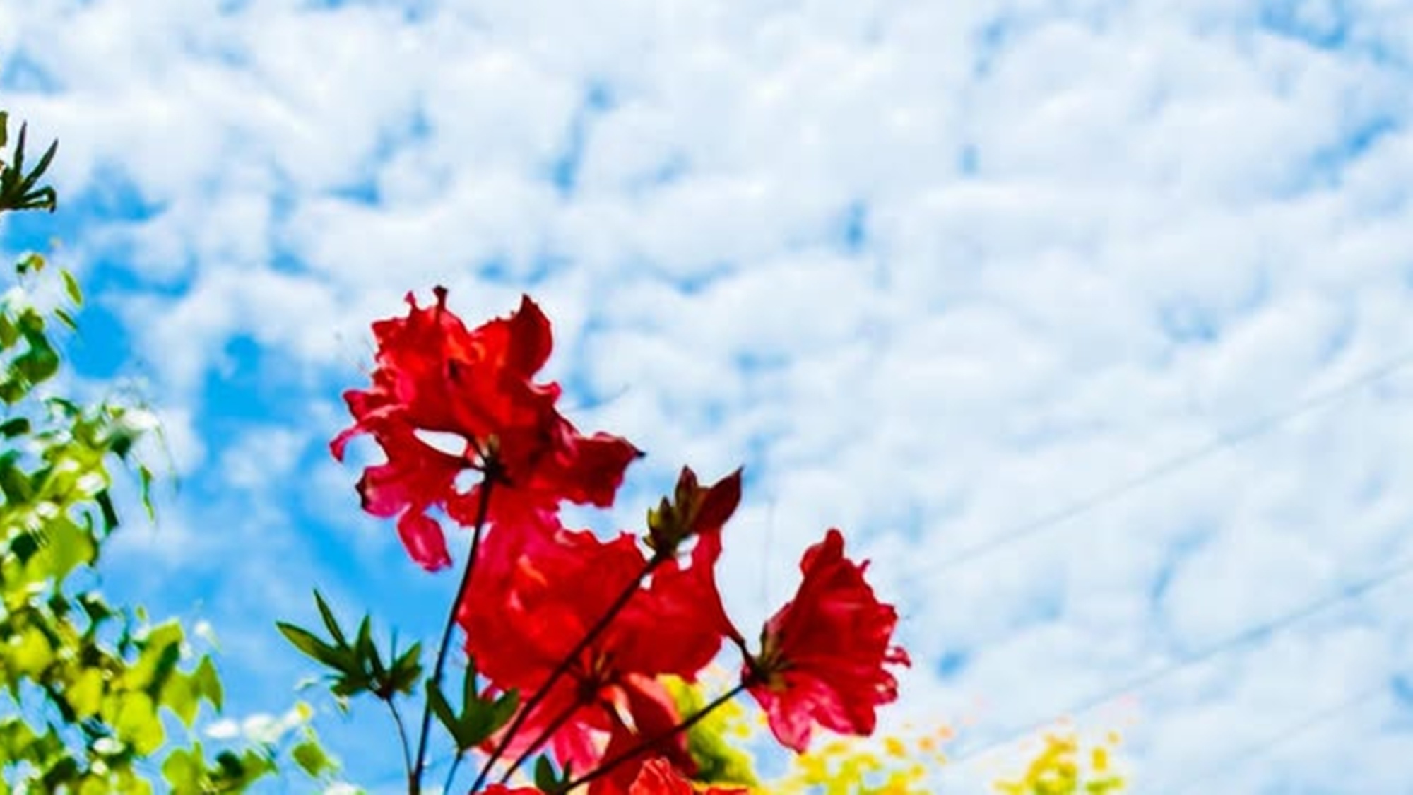 *【周辺】初夏の始まり