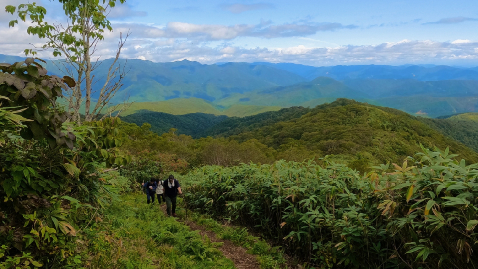 ＊【大日ヶ岳（登山）】登山口まで車で7分