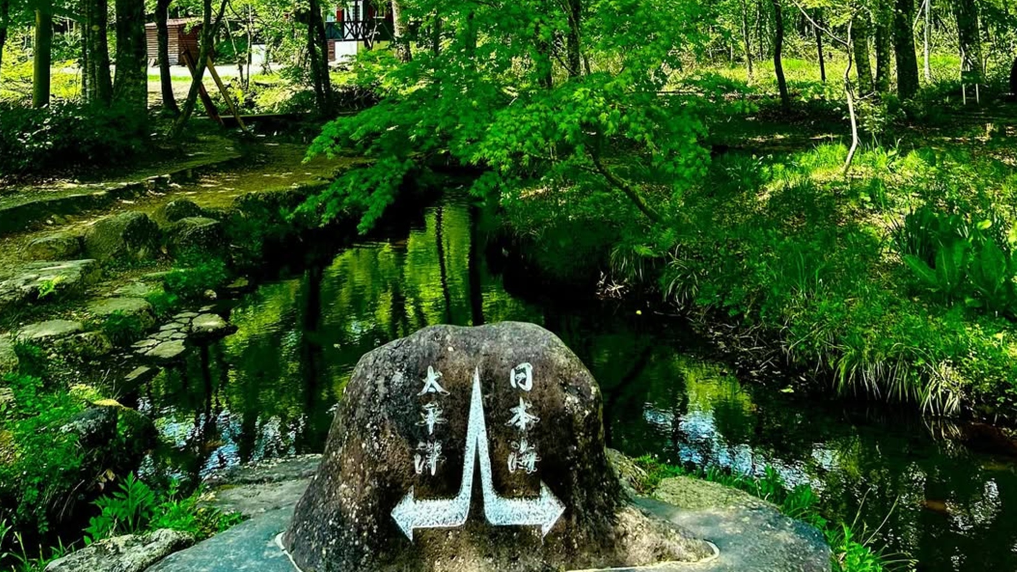 *【当館の敷地】ひるがの分水嶺