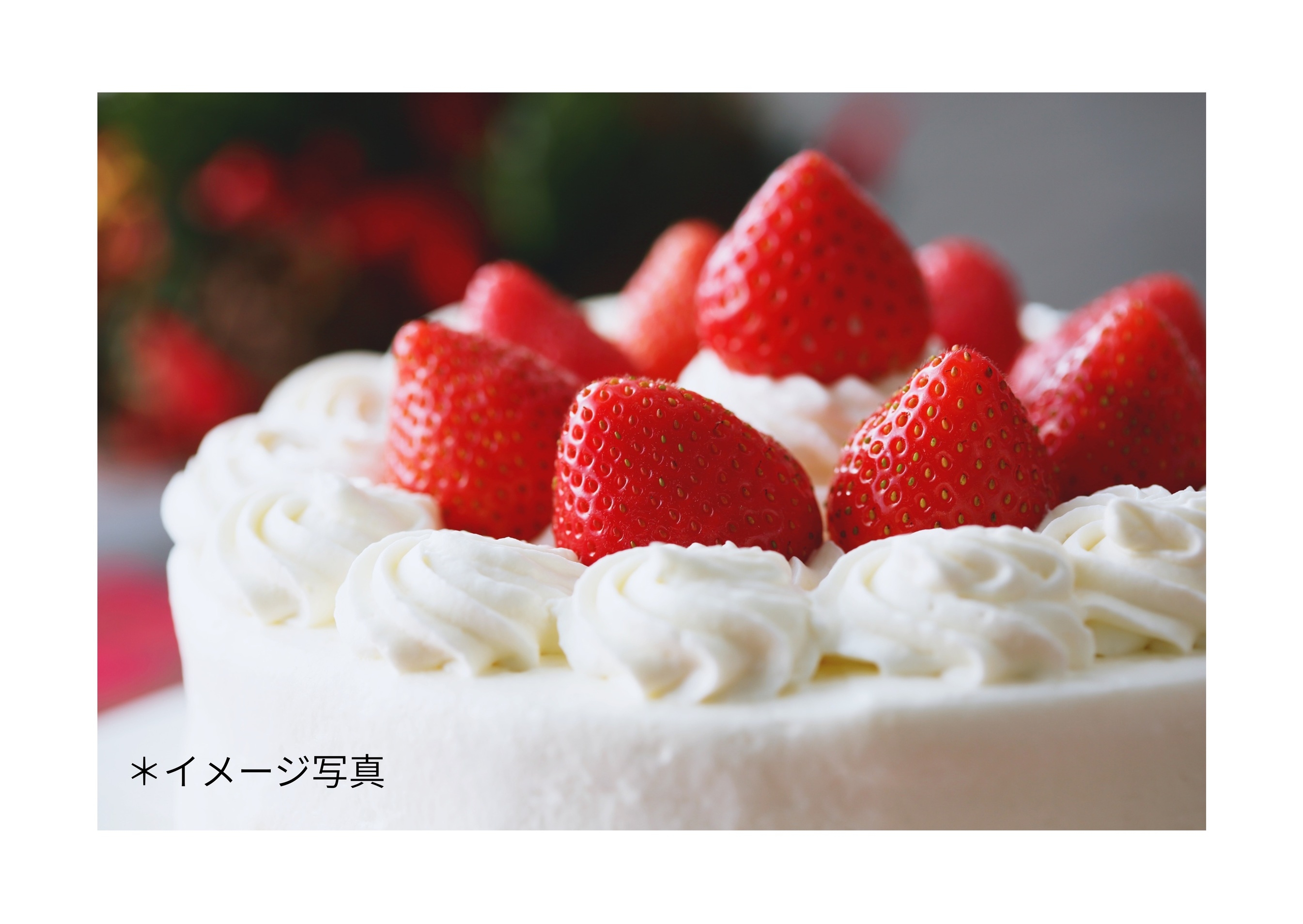 【大切な記念日旅行に！】 Anniversaryプラン〜あなたに出会えてよかった・・・
