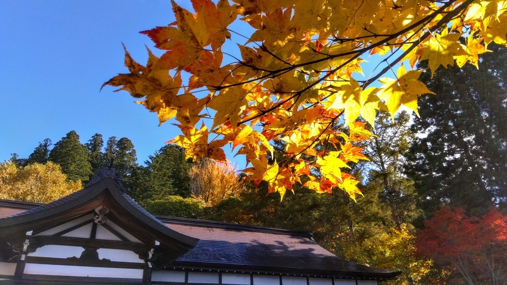 お土産付き★【素泊まり】静かに佇む戸隠神社の宿坊【Wi-Fi完備！テレワーク歓迎】