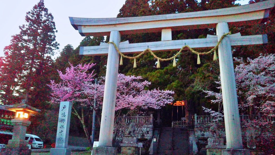お土産付き★【素泊まり】静かに佇む戸隠神社の宿坊【Wi-Fi完備！テレワーク歓迎】