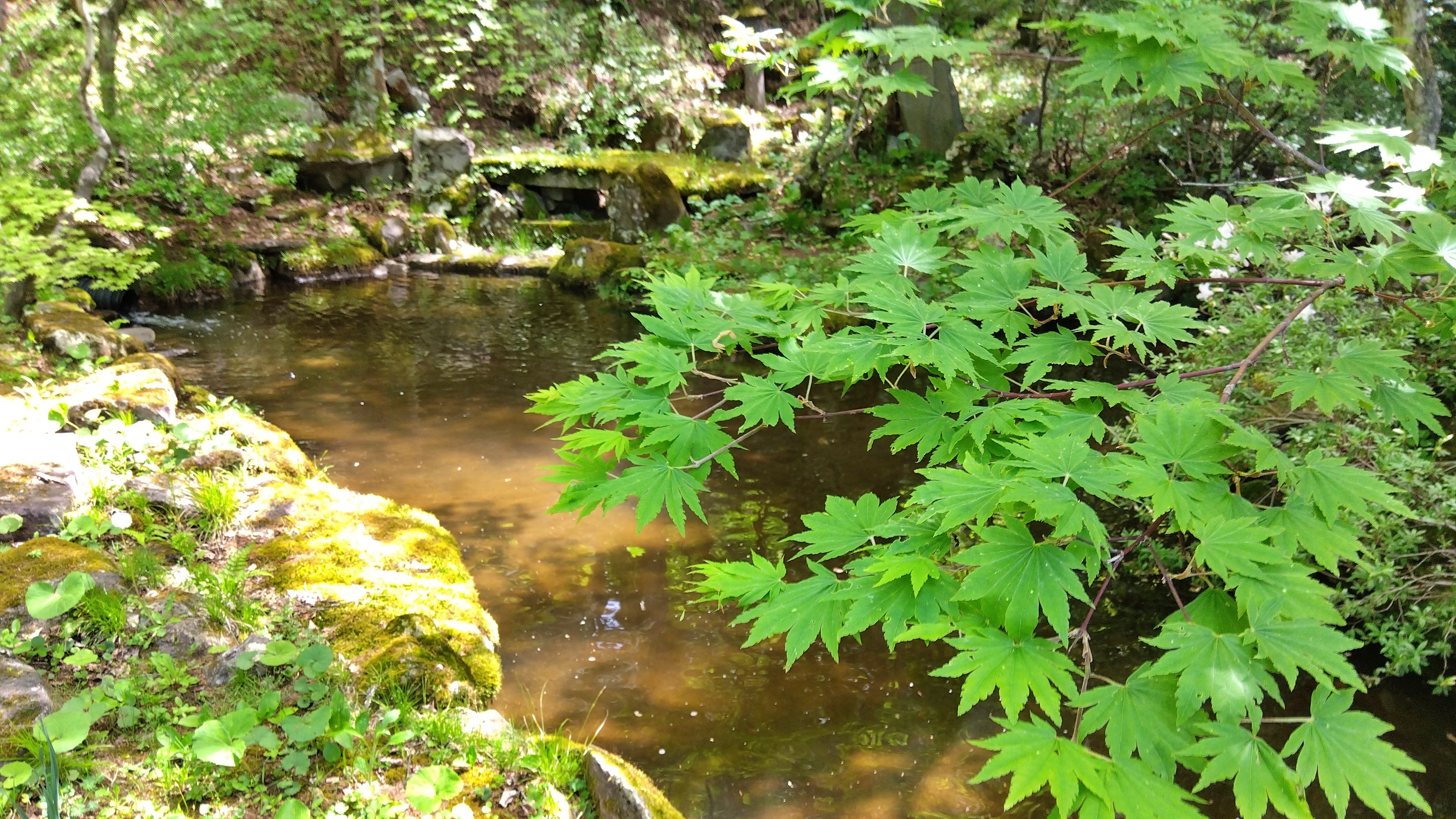 本館　庭園の様子