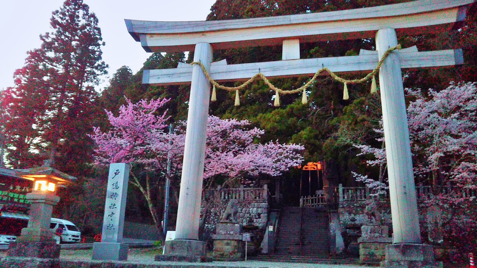 【周辺】戸隠神社　夕方の春の様子