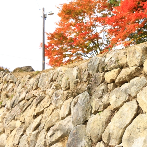 久山館の石垣2