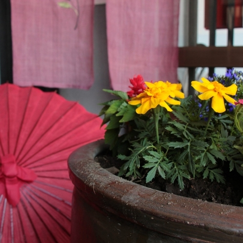 玄関前　鉢植えの花