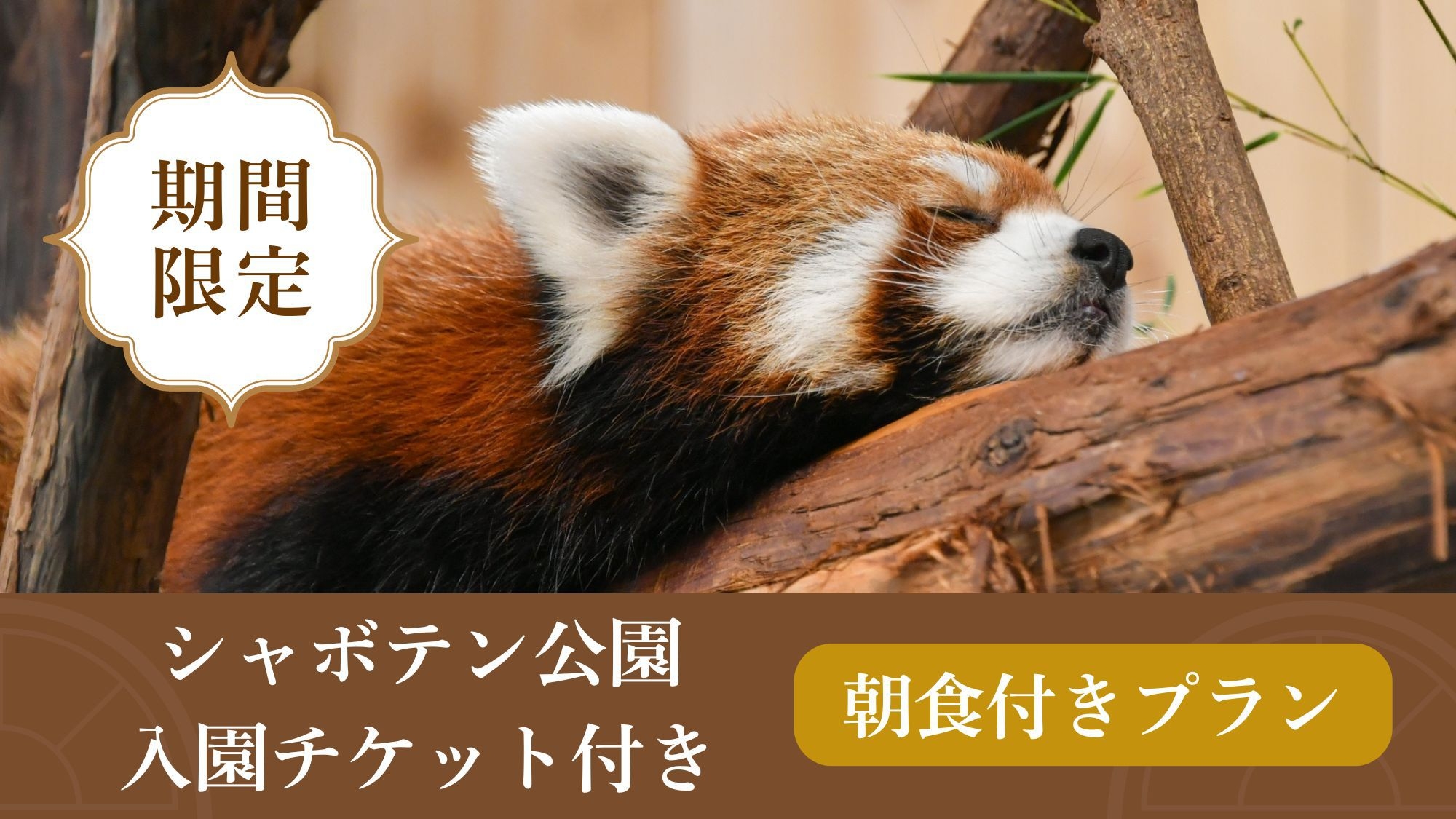 【シャボテン公園入園チケット付き】動物とのふれあいと温泉を楽しむ♪＜朝食付き＞