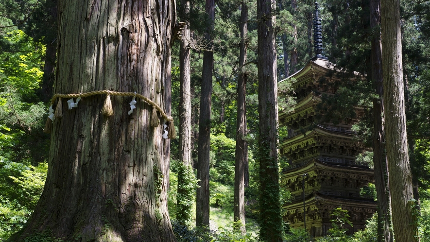 羽黒山　五重塔