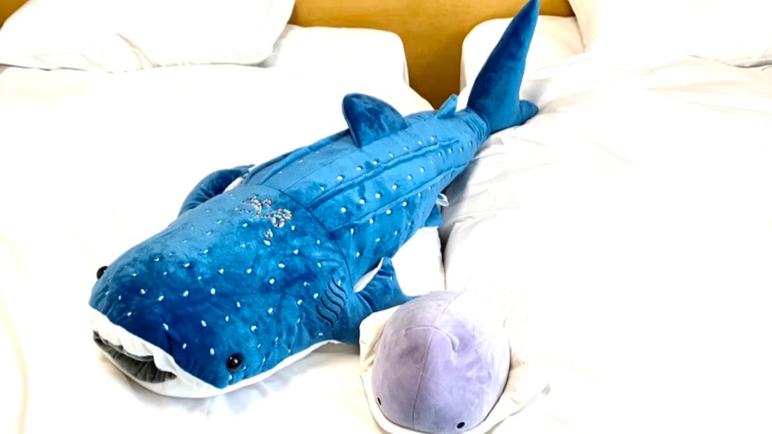 【お部屋】大きなジンベエザメは抱き枕としても最適です！
