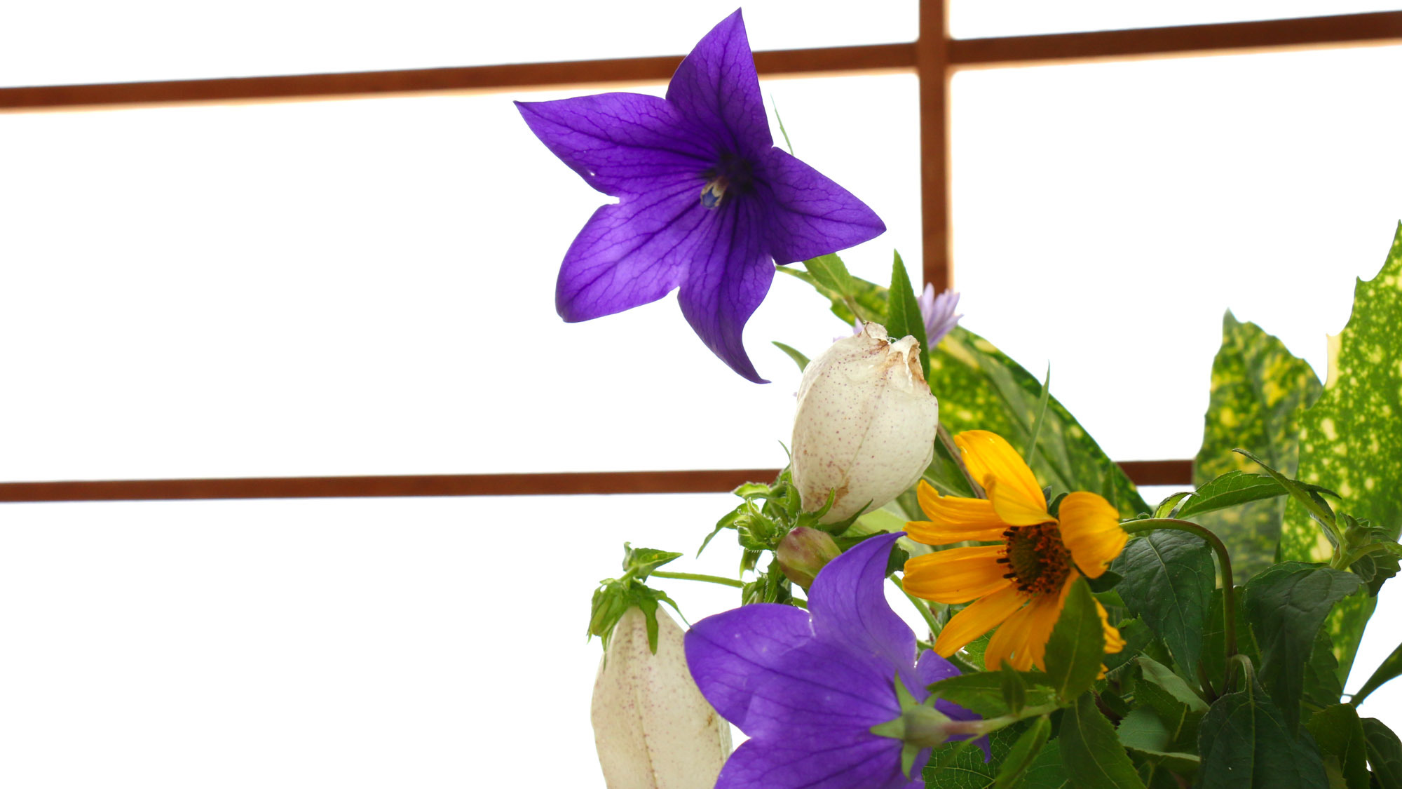 長寿の秘訣!!豪華な料理と温泉を堪能しよう☆