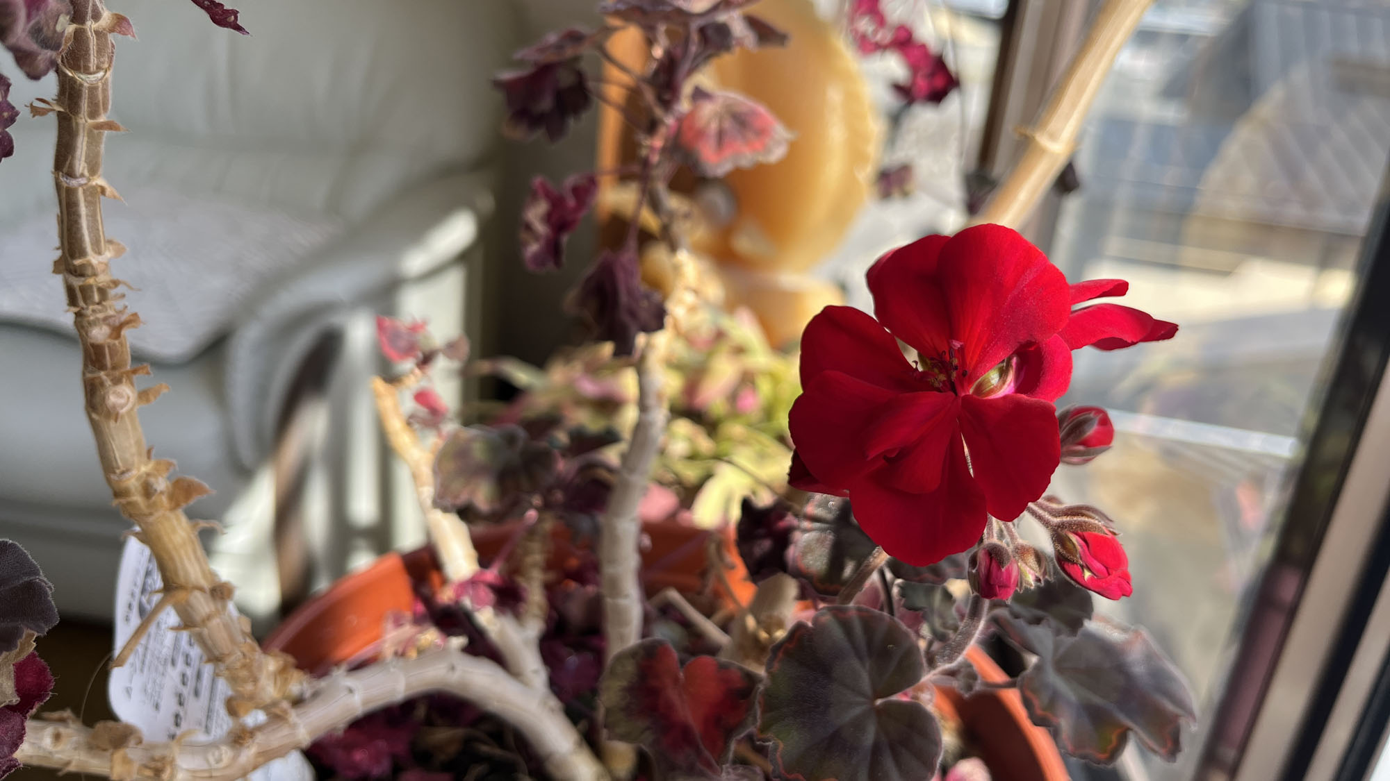 実家の様に落ち着けるお宿です