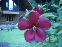 �y���R��:�����E�V���E�g�������z�V�e���X�i�ݕʑ��j