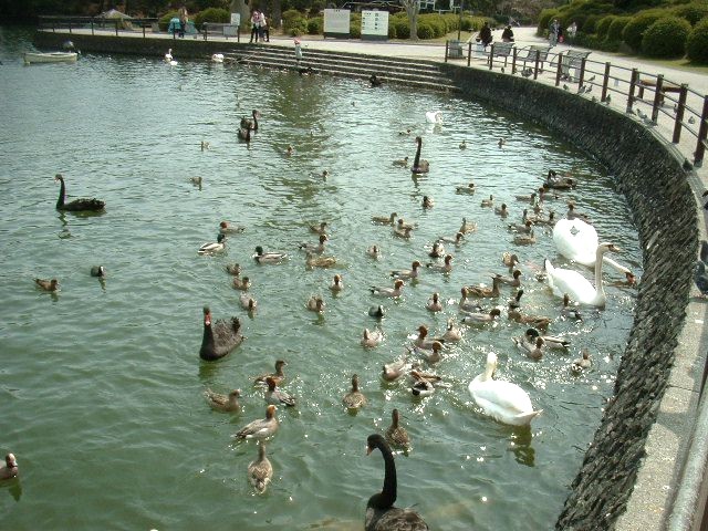 ときわ公園