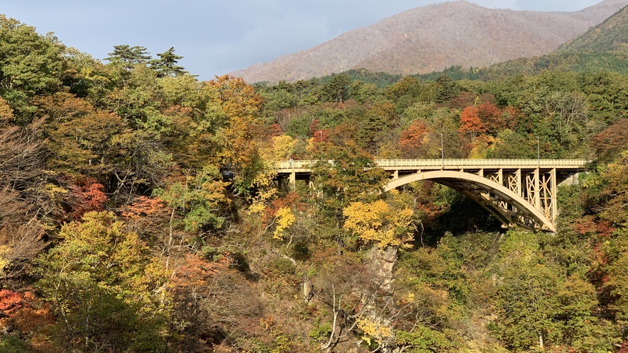 【観光】例年10月中旬～11月上旬にかけてが見頃です