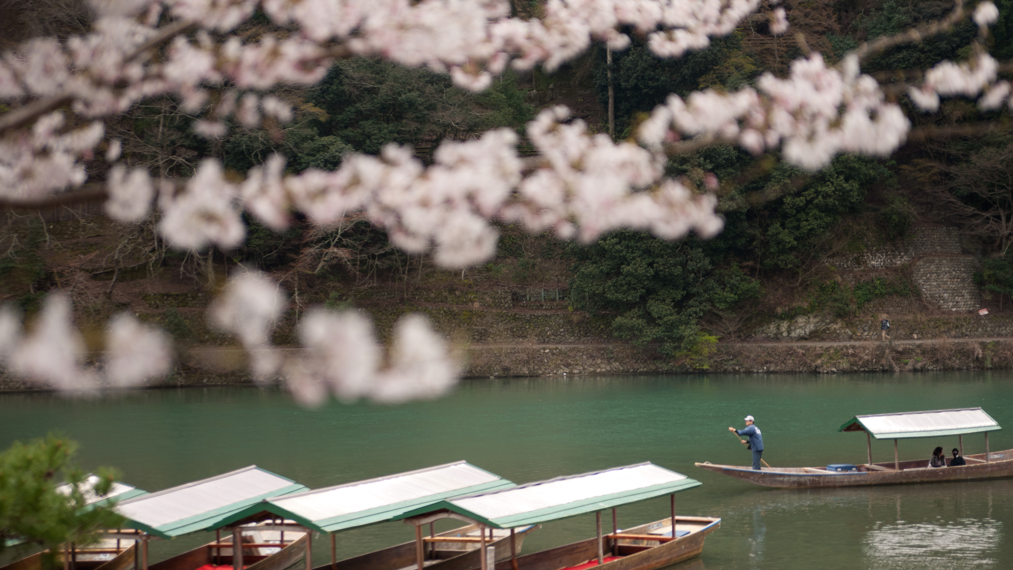 観桜船イメージ