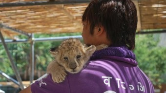 【しろとり動物園】　ホテルより車で約5分