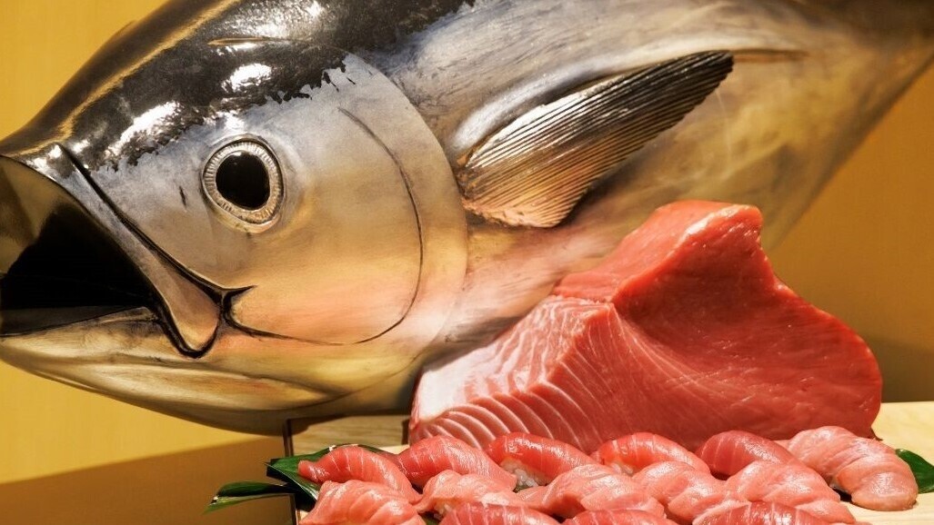 マグロ解体Show!