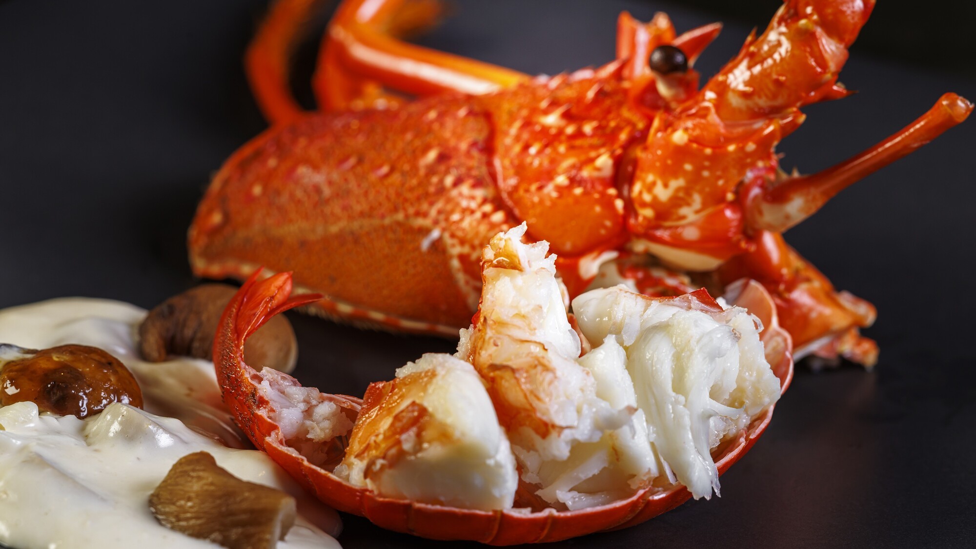 2025秋メニュー一例