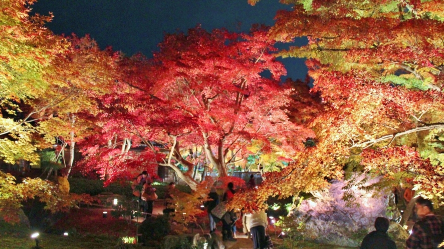 ■宝厳院■京都嵐山にある天龍寺の塔頭寺院、宝厳院。獅子吼の庭の紅葉ライトアップの美しさは格別。