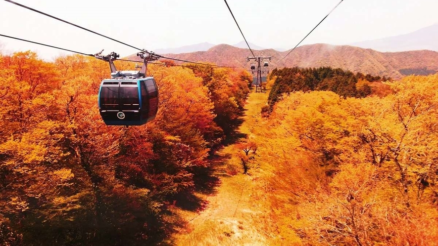 【箱根ロープウェイ】紅葉シーズンは圧巻の景色