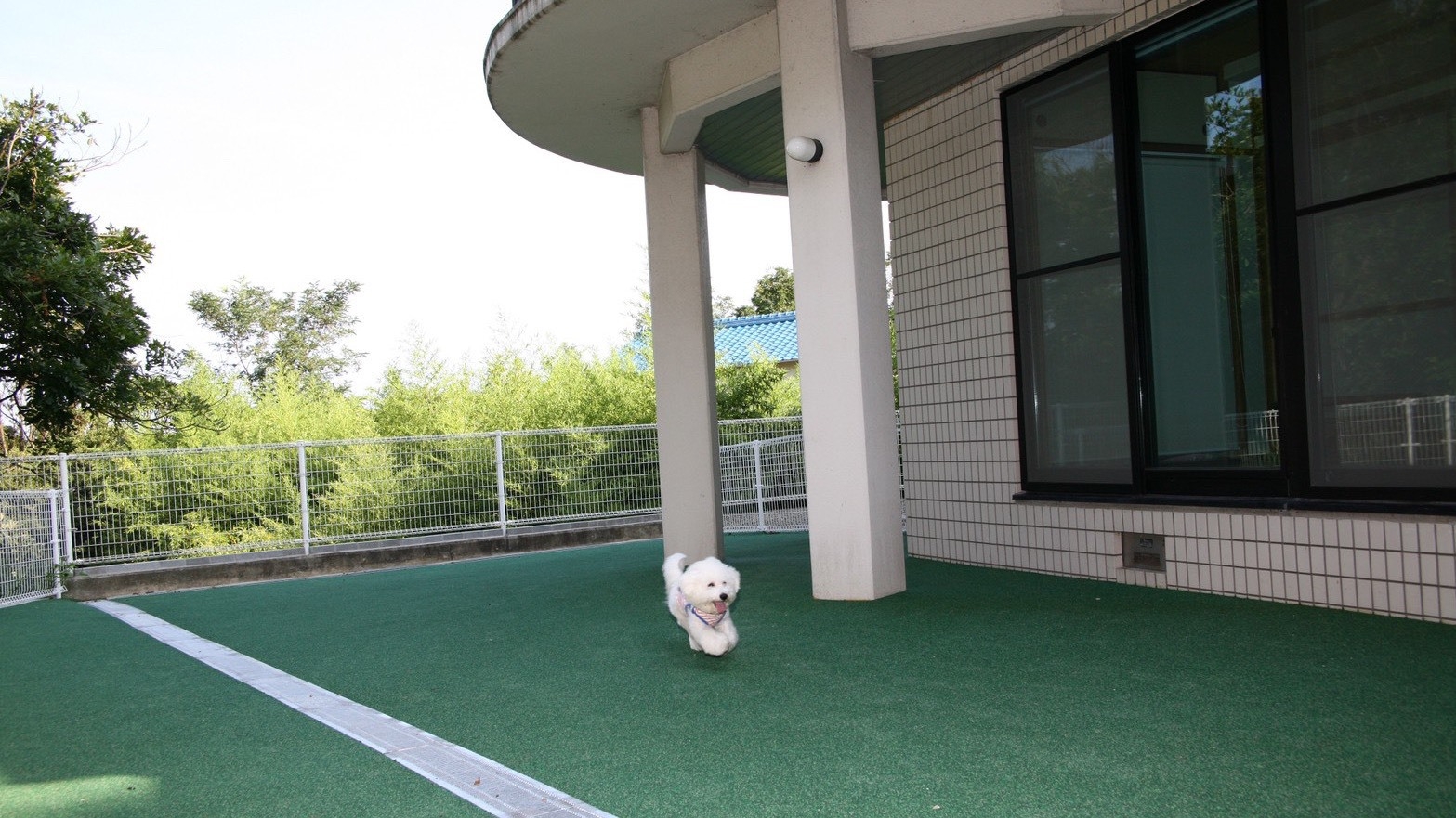 素泊まりプラン【大人5名様まで】ペットと一緒にお泊りコテージ１棟貸切