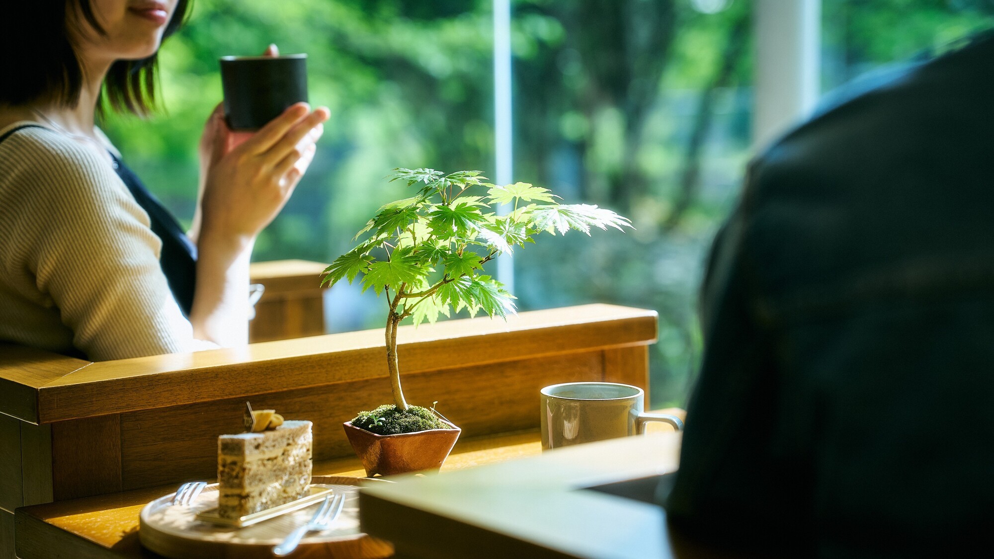【一鉢の緑と寛ぐ休日】＜夕朝食付＞季節の盆栽と過ごす 静寂に満ちた癒しの滞在