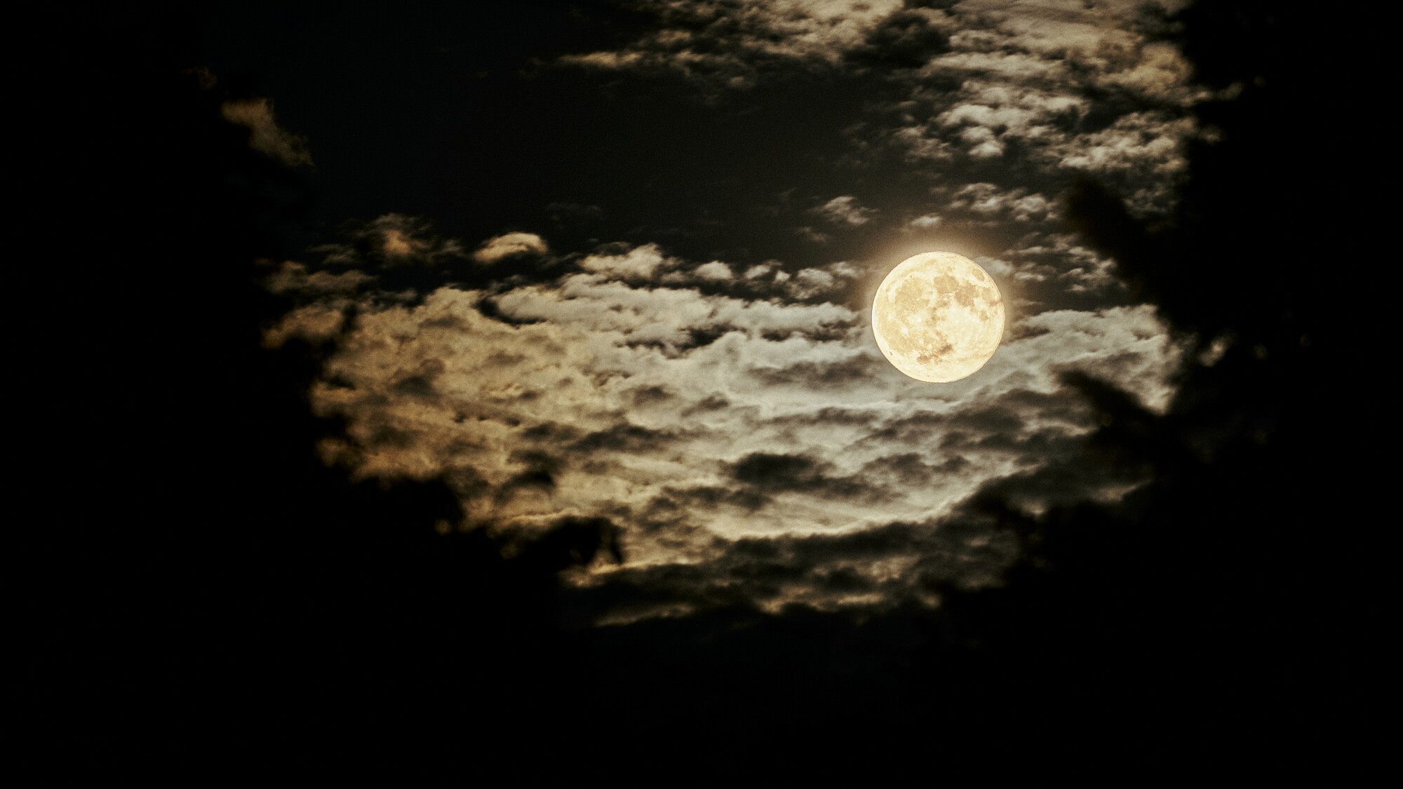 【イベント】中秋の名月