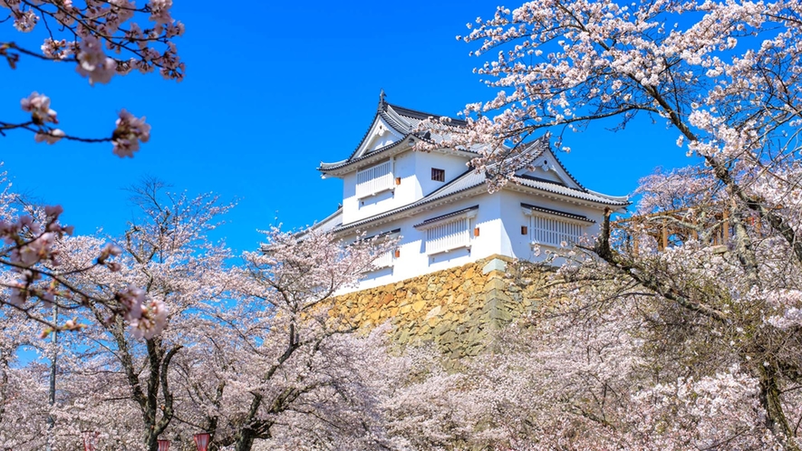 【津山城】「日本さくら名所100選」にも選定されており、春には約千本もの桜が花を咲かせます。