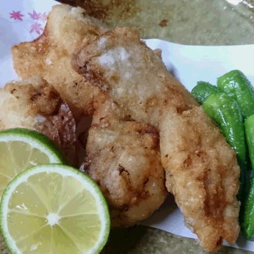 【一泊二食】【若狭フグ】きよしや　とらフグ会席プラン★若狭ふぐ自慢の宿