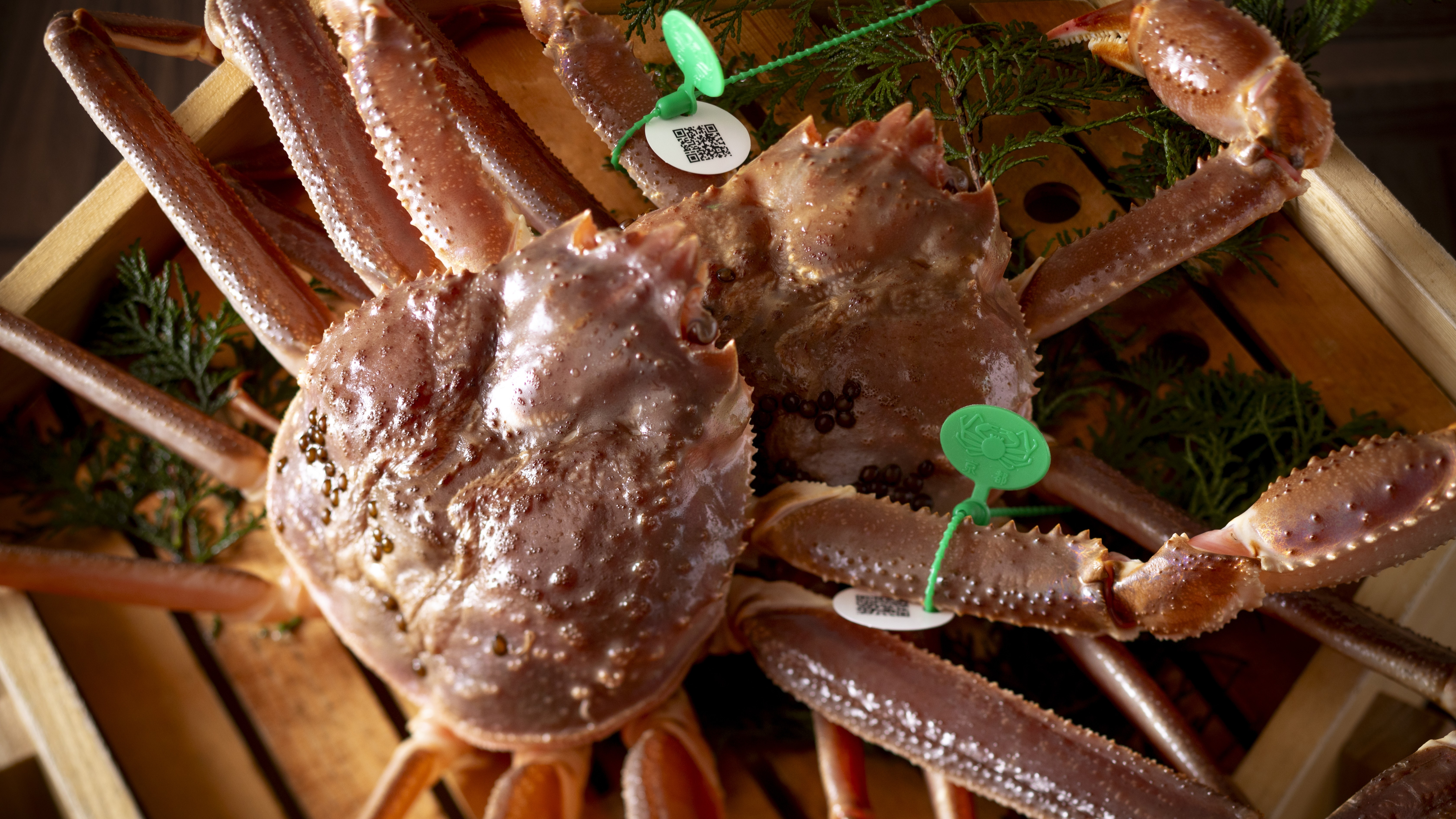 【冬・間人ガニ】この時期にしか味わえない、冬の味覚の王様・間人ガニを堪能。